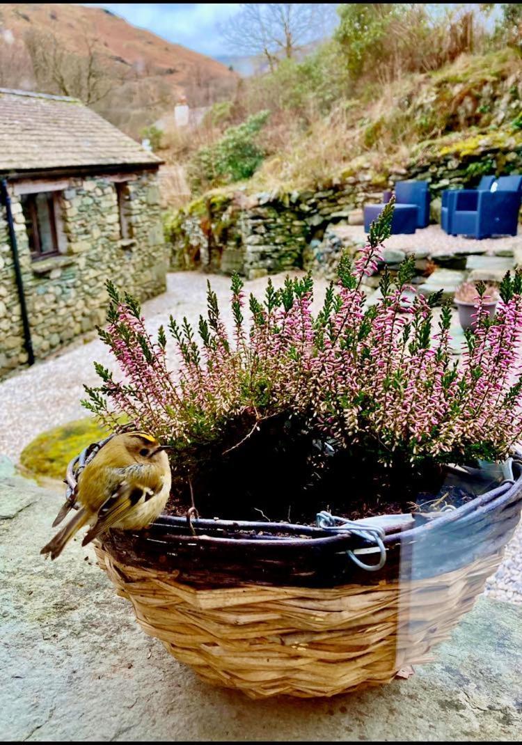 باتيردالي Crookabeck B&B المظهر الخارجي الصورة
